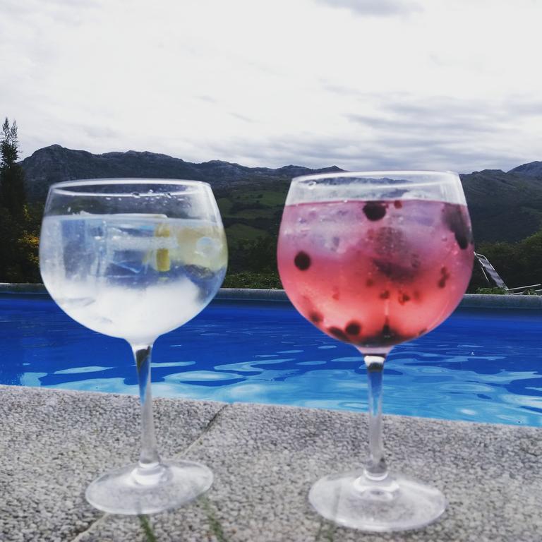 Aire De Ruesga Hotel Bagian luar foto